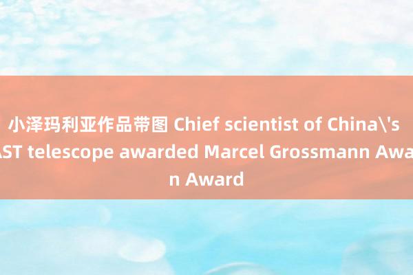 小泽玛利亚作品带图 Chief scientist of China's FAST telescope awarded Marcel Grossmann Award