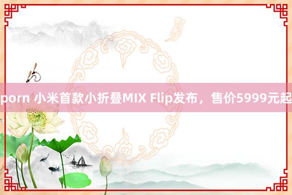 porn 小米首款小折叠MIX Flip发布，售价5999元起