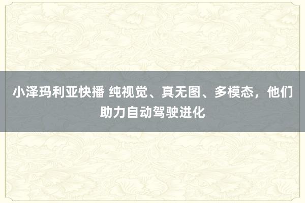 小泽玛利亚快播 纯视觉、真无图、多模态，他们助力自动驾驶进化