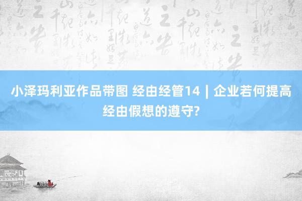 小泽玛利亚作品带图 经由经管14∣企业若何提高经由假想的遵守?