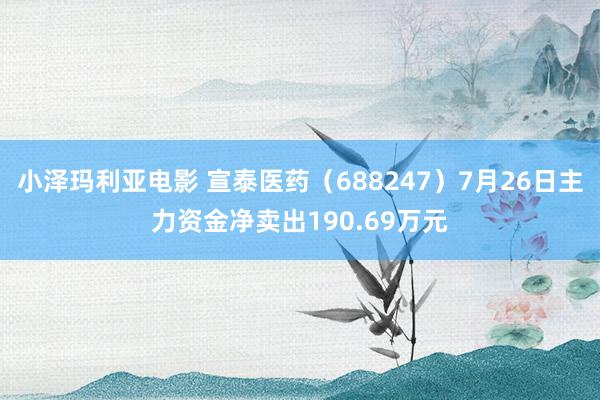 小泽玛利亚电影 宣泰医药（688247）7月26日主力资金净卖出190.69万元