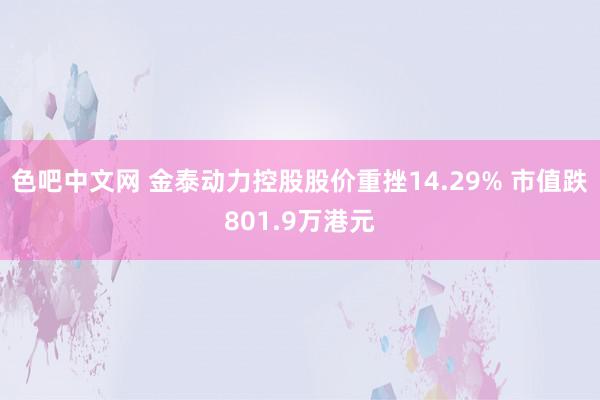 色吧中文网 金泰动力控股股价重挫14.29% 市值跌801.9万港元