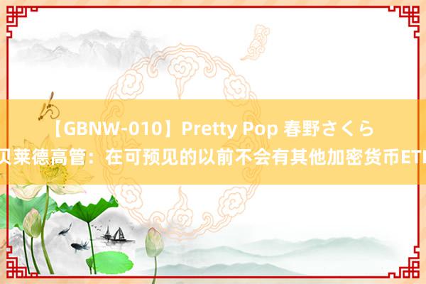 【GBNW-010】Pretty Pop 春野さくら 贝莱德高管：在可预见的以前不会有其他加密货币ETF