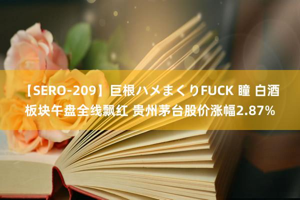 【SERO-209】巨根ハメまくりFUCK 瞳 白酒板块午盘全线飘红 贵州茅台股价涨幅2.87%