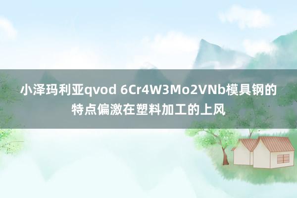 小泽玛利亚qvod 6Cr4W3Mo2VNb模具钢的特点偏激在塑料加工的上风