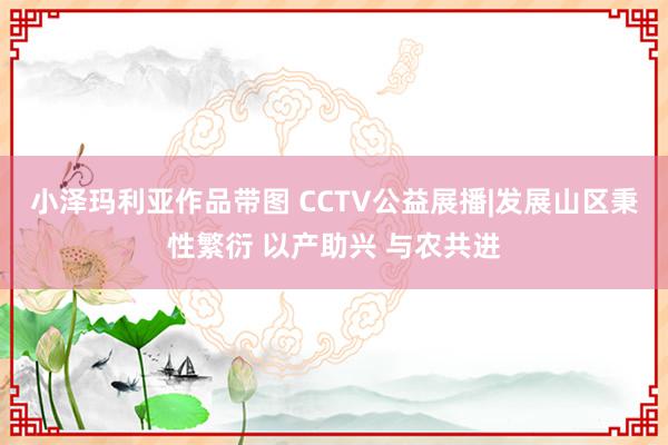 小泽玛利亚作品带图 CCTV公益展播|发展山区秉性繁衍 以产助兴 与农共进