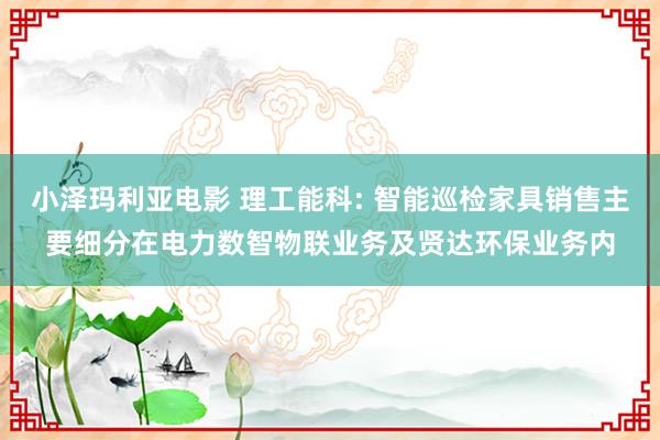 小泽玛利亚电影 理工能科: 智能巡检家具销售主要细分在电力数智物联业务及贤达环保业务内