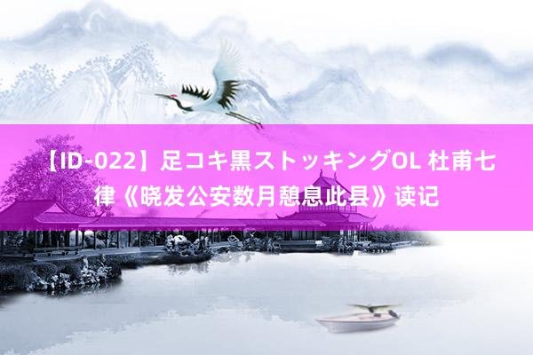 【ID-022】足コキ黒ストッキングOL 杜甫七律《晓发公安数月憩息此县》读记