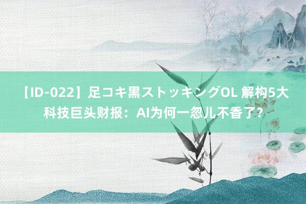 【ID-022】足コキ黒ストッキングOL 解构5大科技巨头财报：AI为何一忽儿不香了？