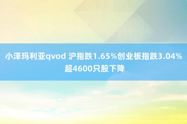 小泽玛利亚qvod 沪指跌1.65%创业板指跌3.04% 超4600只股下降