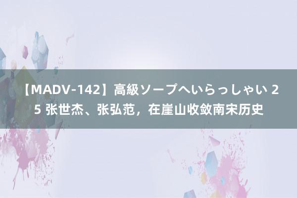 【MADV-142】高級ソープへいらっしゃい 25 张世杰、张弘范，在崖山收敛南宋历史