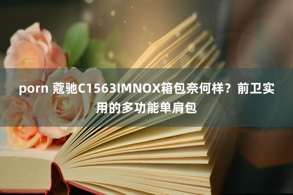 porn 蔻驰C1563IMNOX箱包奈何样？前卫实用的多功能单肩包