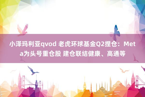 小泽玛利亚qvod 老虎环球基金Q2捏仓：Meta为头号重仓股 建仓联结健康、高通等