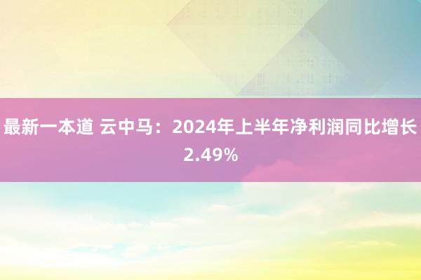 最新一本道 云中马：2024年上半年净利润同比增长2.49%