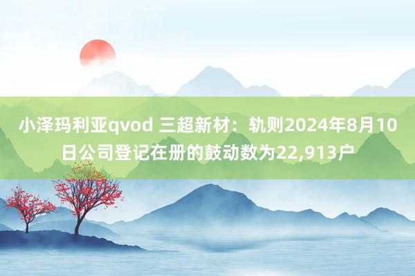 小泽玛利亚qvod 三超新材：轨则2024年8月10日公司登记在册的鼓动数为22,913户