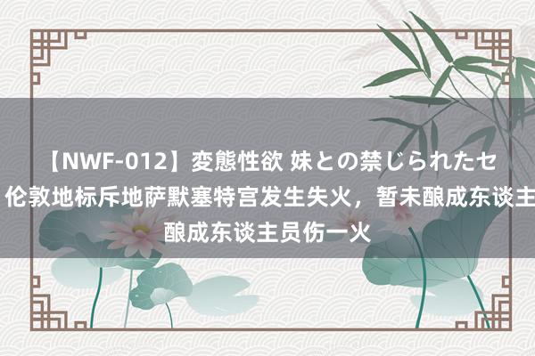 【NWF-012】変態性欲 妹との禁じられたセックス。 伦敦地标斥地萨默塞特宫发生失火，暂未酿成东谈主员伤一火