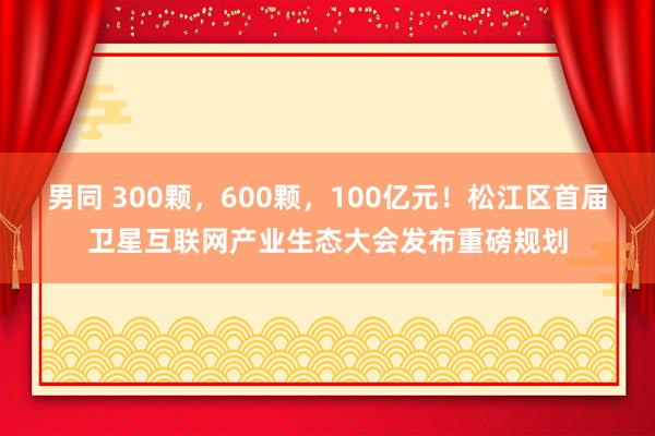 男同 300颗，600颗，100亿元！松江区首届卫星互联网产业生态大会发布重磅规划