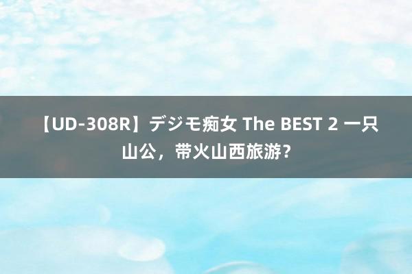 【UD-308R】デジモ痴女 The BEST 2 一只山公，带火山西旅游？