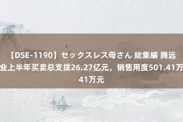 【DSE-1190】セックスレス母さん 総集編 腾远钴业上半年买卖总支拨26.27亿元，销售用度501.41万元