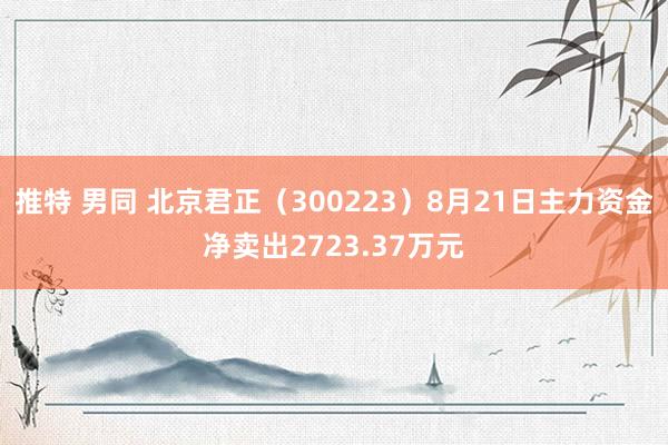 推特 男同 北京君正（300223）8月21日主力资金净卖出2723.37万元