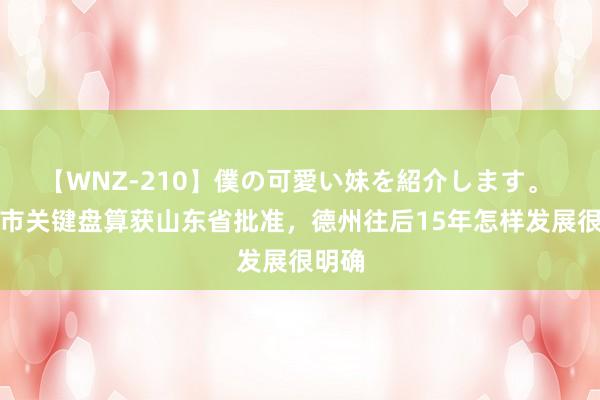 【WNZ-210】僕の可愛い妹を紹介します。 德州市关键盘算获山东省批准，德州往后15年怎样发展很明确