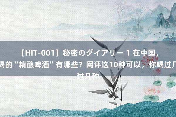 【HIT-001】秘密のダイアリー 1 在中国，好喝的“精酿啤酒”有哪些？网评这10种可以，你喝过几种