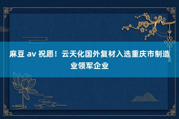 麻豆 av 祝愿！云天化国外复材入选重庆市制造业领军企业